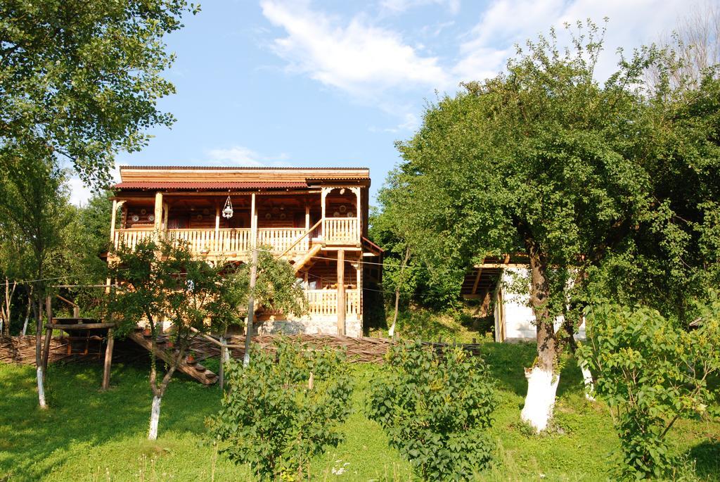 Pensiunea La Gorgan Vadu Izei Exterior foto